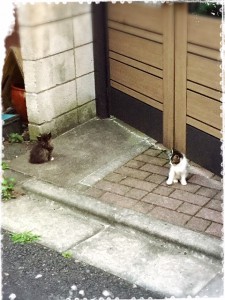 産まれた!!!!!