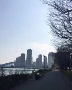 晴れの風景