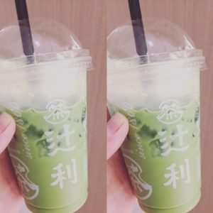 抹茶DAY