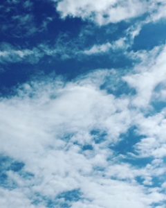晴れの日
