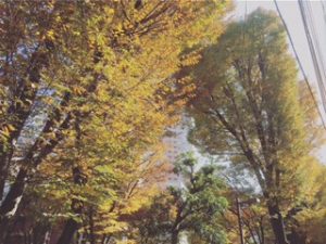 秋の準備はいかがでしょうか?