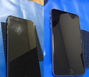 信じるか信じないかは貴方しだいのヤーツ。