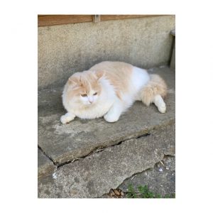 ★癒しの時間★